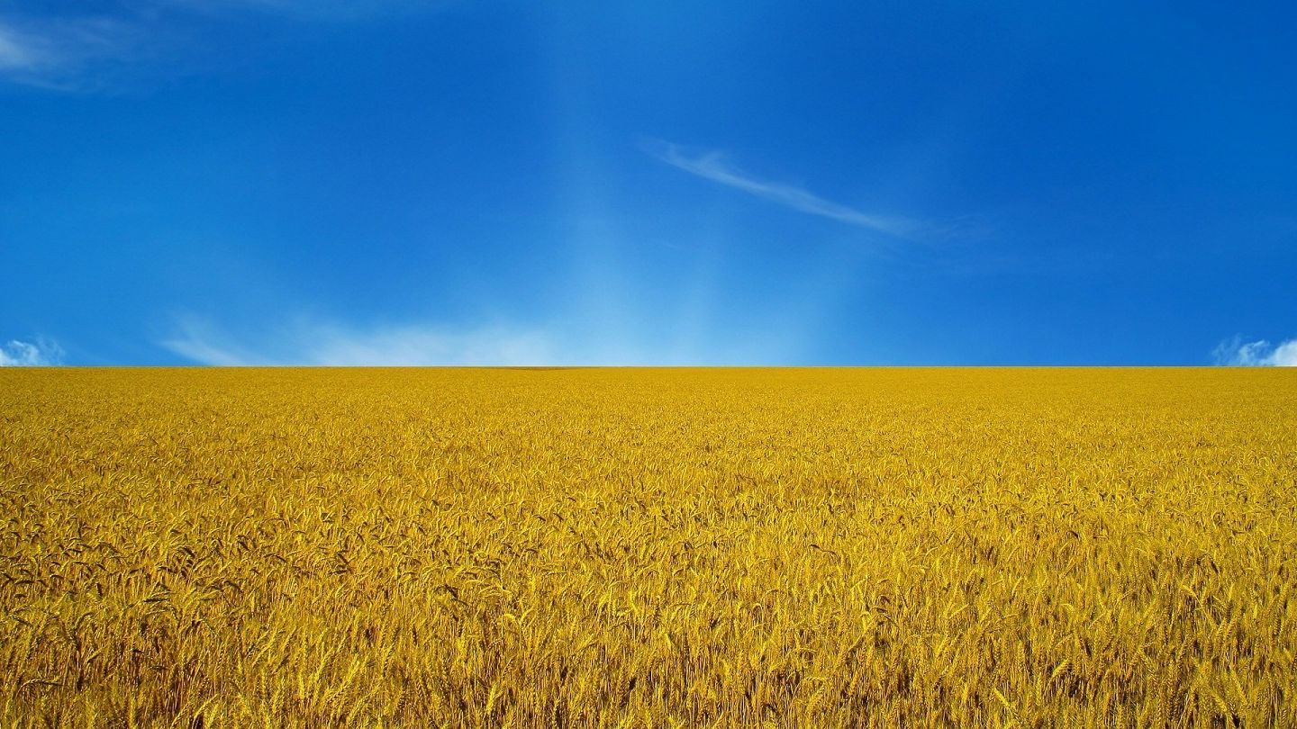 Поле — агросектор